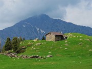 21 Verdi pascoli del Monte Campo con la baita Monte Campo (1878 m) con alle spalle il Menna